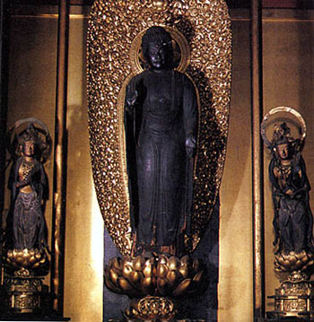 善念寺の木造阿弥陀如来立像 の画像