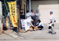 狂犬病予防注射イメージ