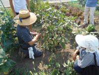 野菜栽培講習会