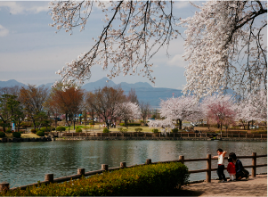 ［写真：高崎市のイメージ2］