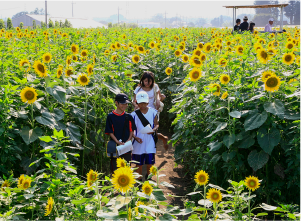 ［写真：高崎市のイメージ3］