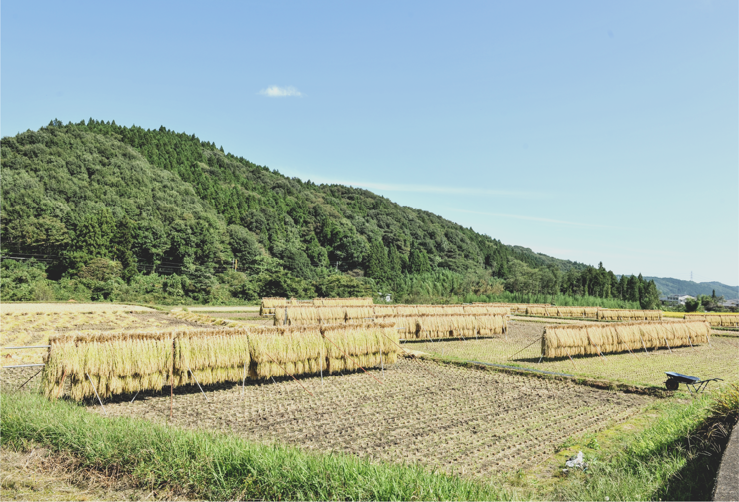 ［写真：倉渕地域の風景］