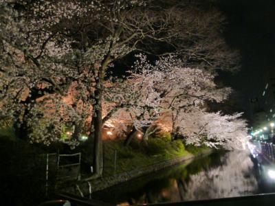 城址公園桜ライトアップ２