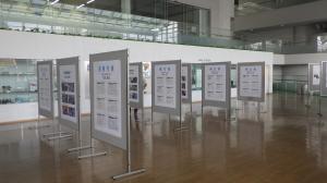 バケツ稲（展示風景）