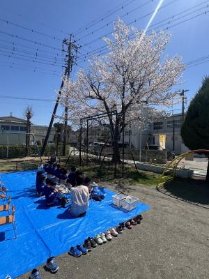 青空給食