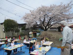 お花見給食1