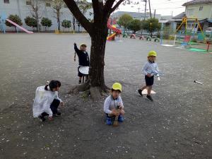 桜の下