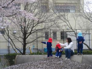 桜
