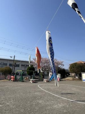 こいのぼり