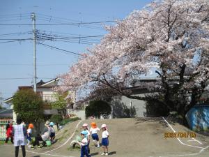 桜の木の下で虫取り