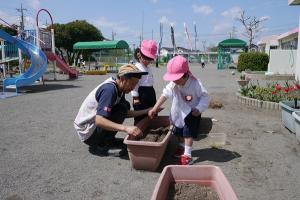 種まき3
