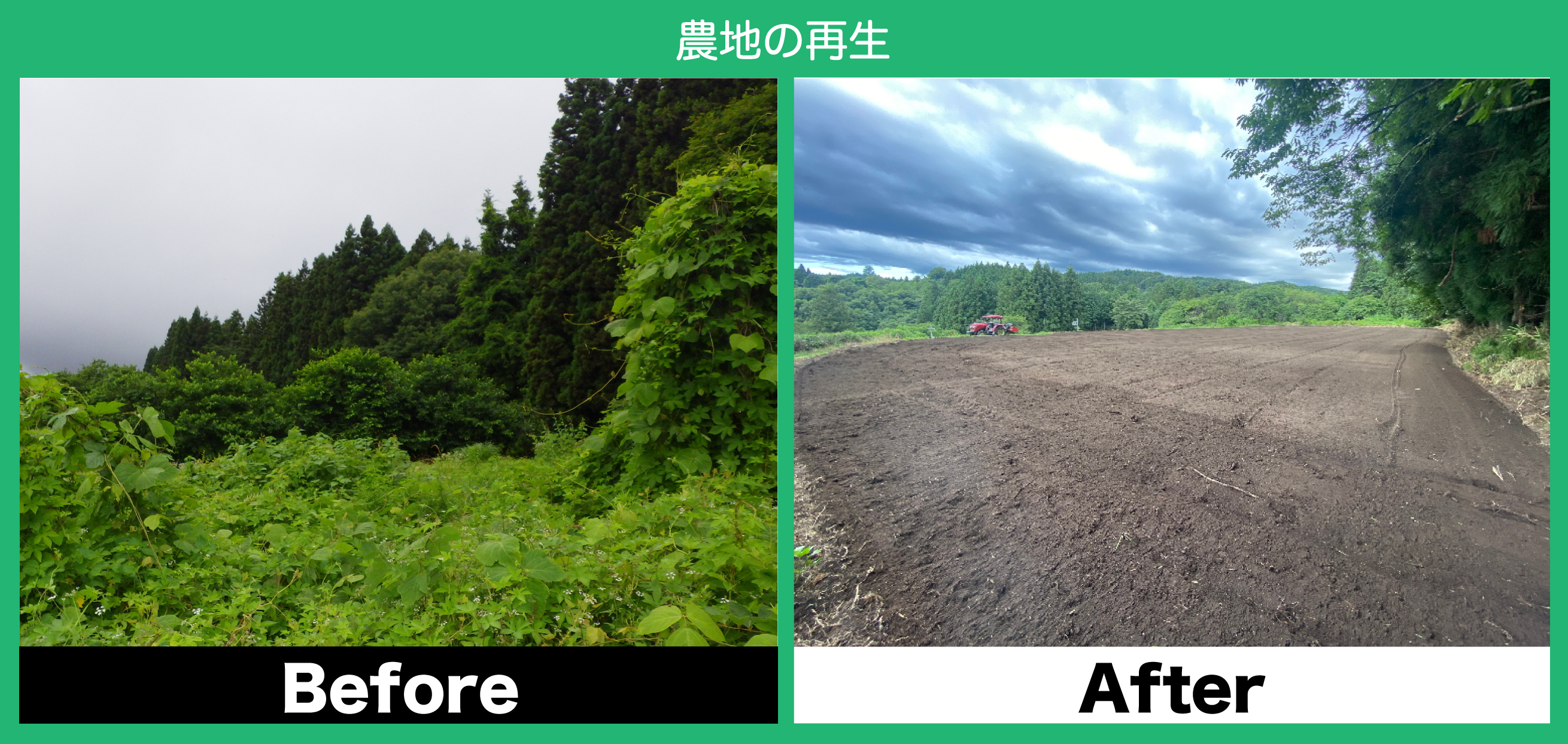 荒廃農地の再生前と再生後の比較写真