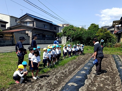 畑で観察