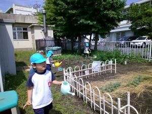 大きくなってきたね