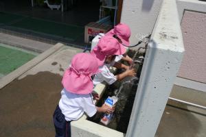 水1