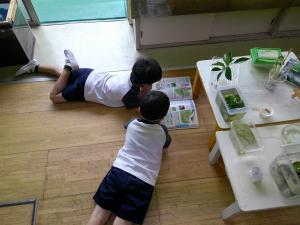 なにを