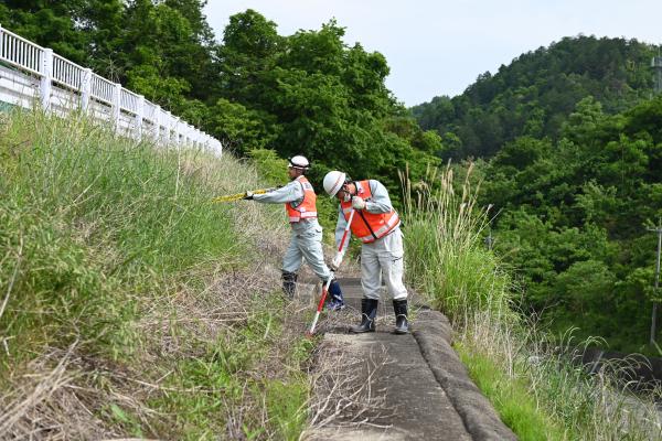 職員が法面を点検する様子