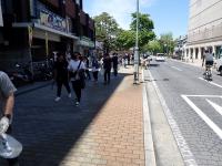 クリーンアップキャンペーンの写真　回収風景