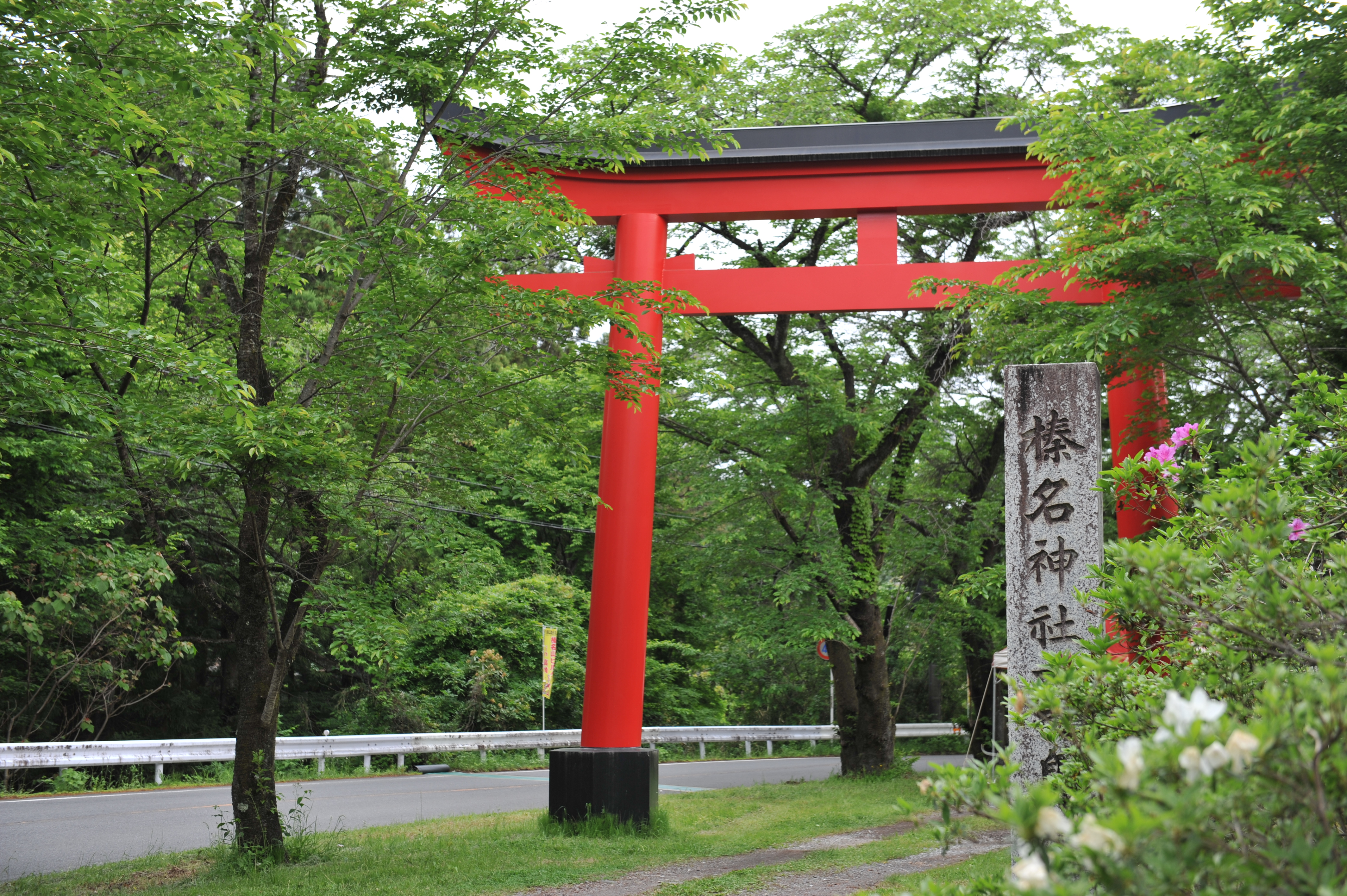 初心者コースの写真１