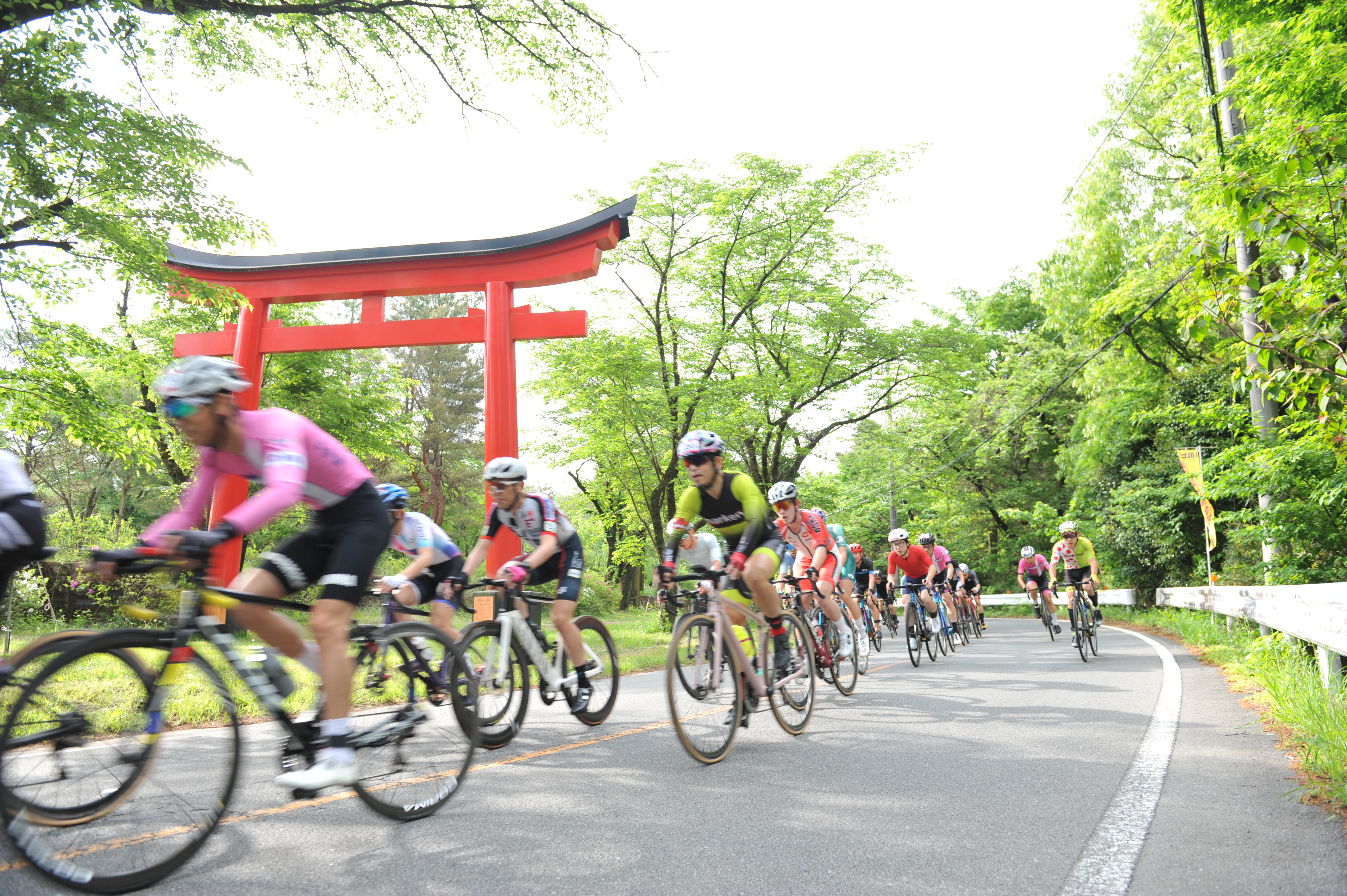 初心者コースの写真4
