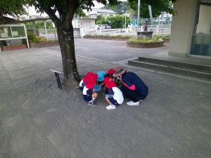 いた