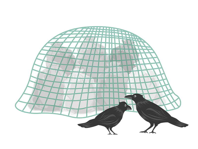 防鳥ネット