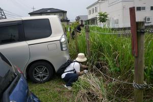駐車4