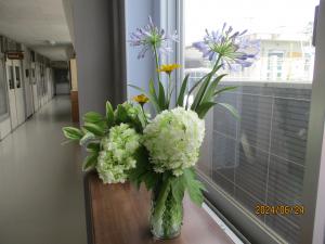 癒しの花々1