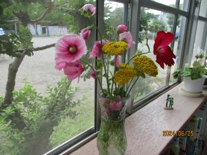 癒しの花々1