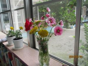 癒しの花々2