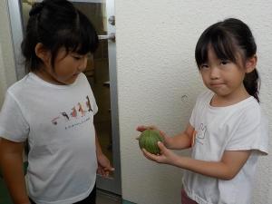 す２
