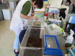 生き物の世話①