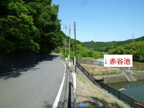 赤谷池付近