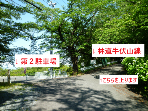 第2駐車場付近