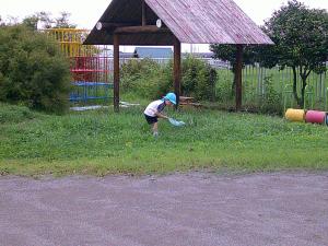 むし