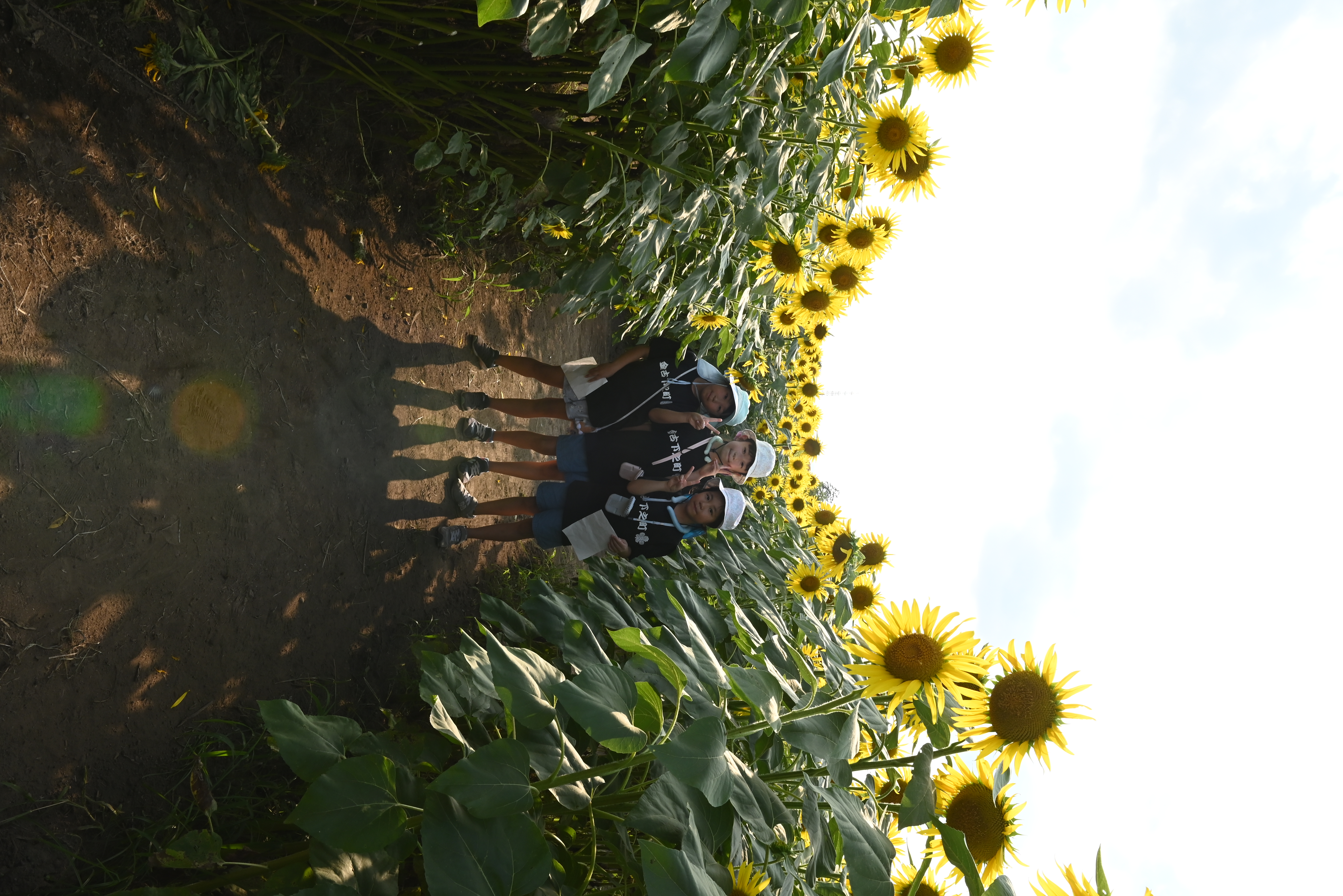 ぐんま「はにわの里」夏まつりの写真６
