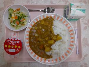 給食