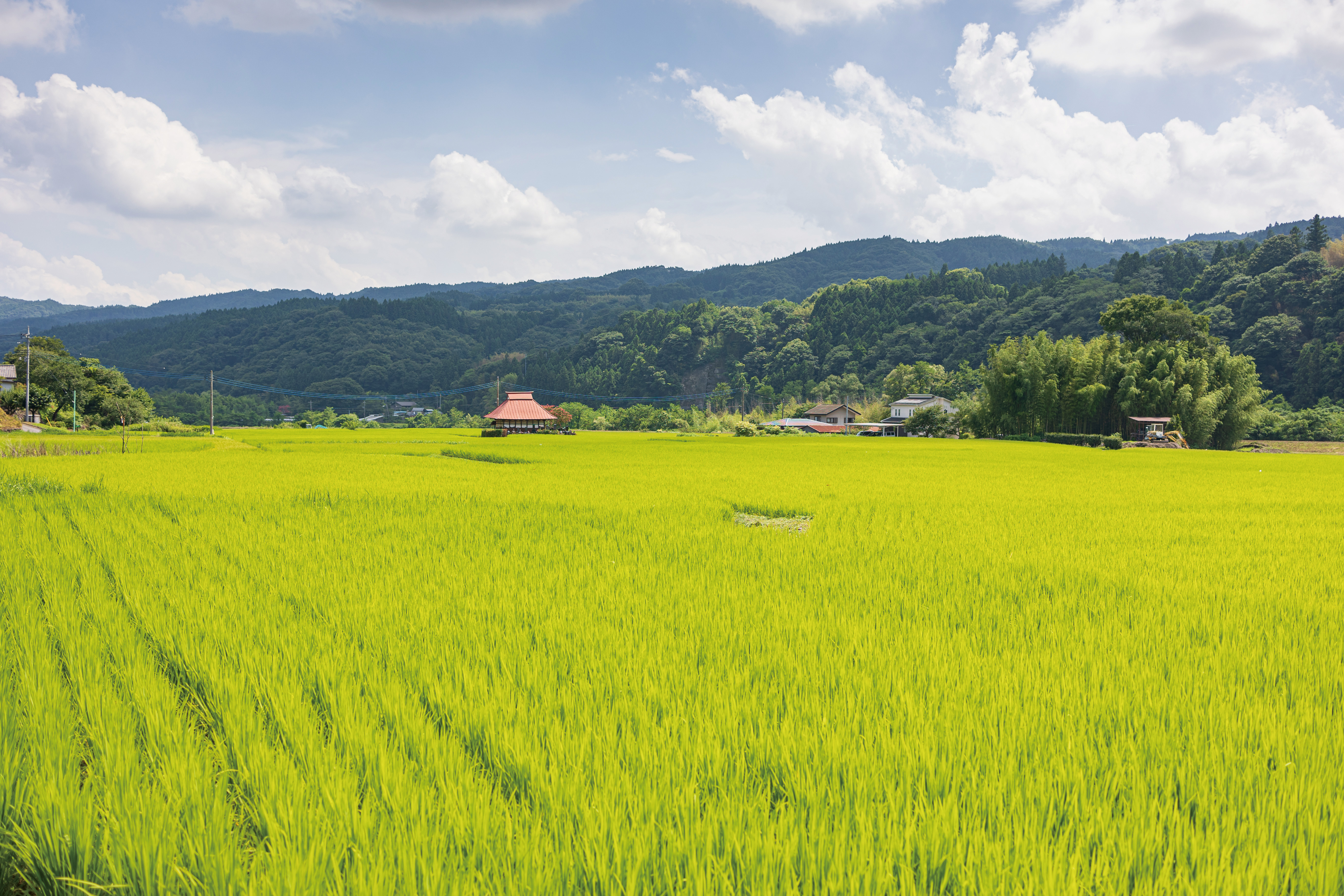 倉渕・榛名・吉井地域への移住支援を実施の画像
