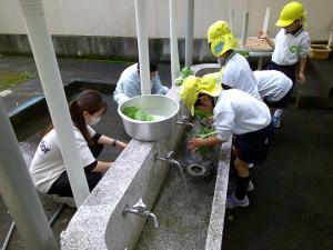 きれいに