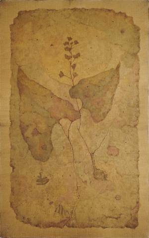 福井良之助「作品名不詳（野の花）」