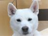 まつりの正面写真