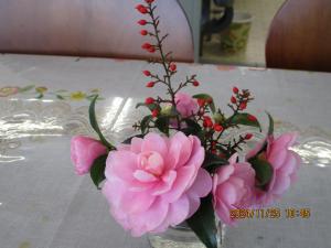 職員室の山茶花