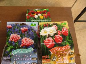 花いっぱい運動の副賞