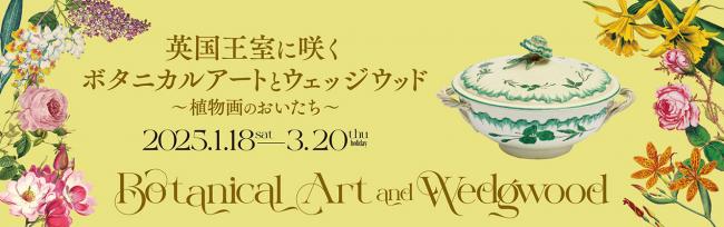 ボタニカルアートとウェッジウッド展バナー