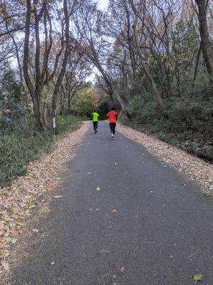 第34回はるな梅マラソンハーフコース試走写真(6)