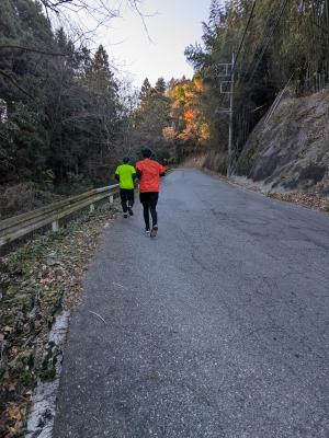 第34回はるな梅マラソンハーフコース試走写真⑫