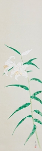 小林古径《山百合》1933年頃