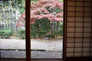 和室正面の庭