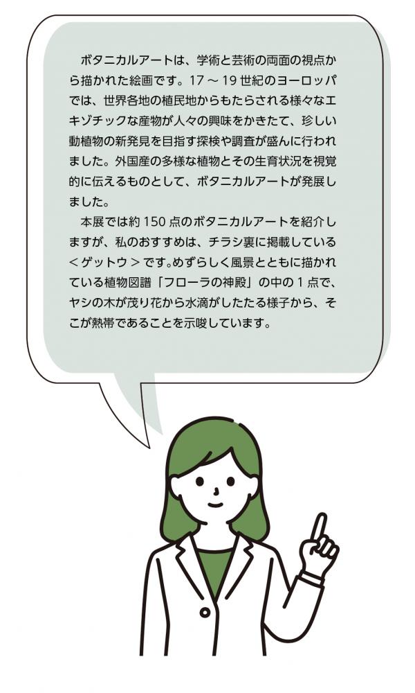学芸員のコメント