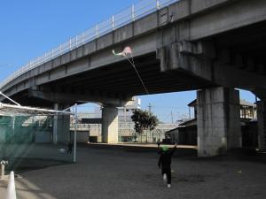 たこ